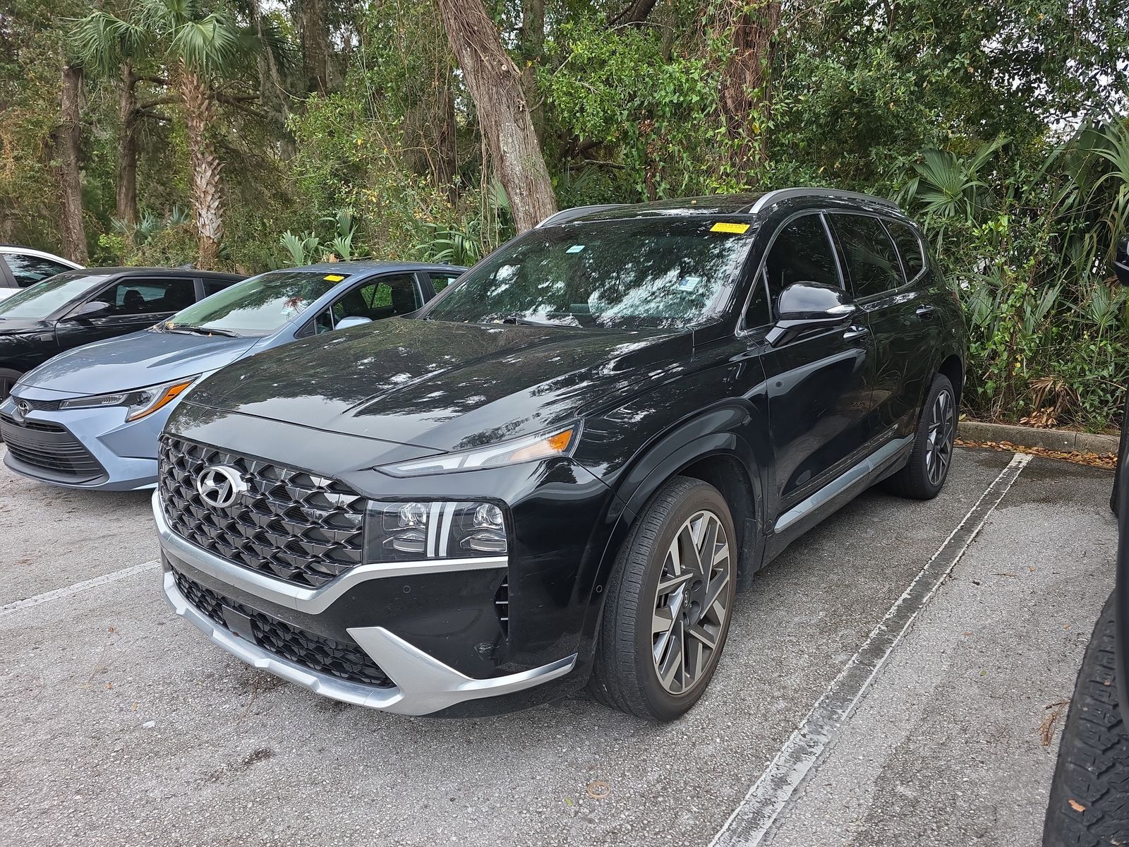 2023 Hyundai Santa Fe Calligraphy