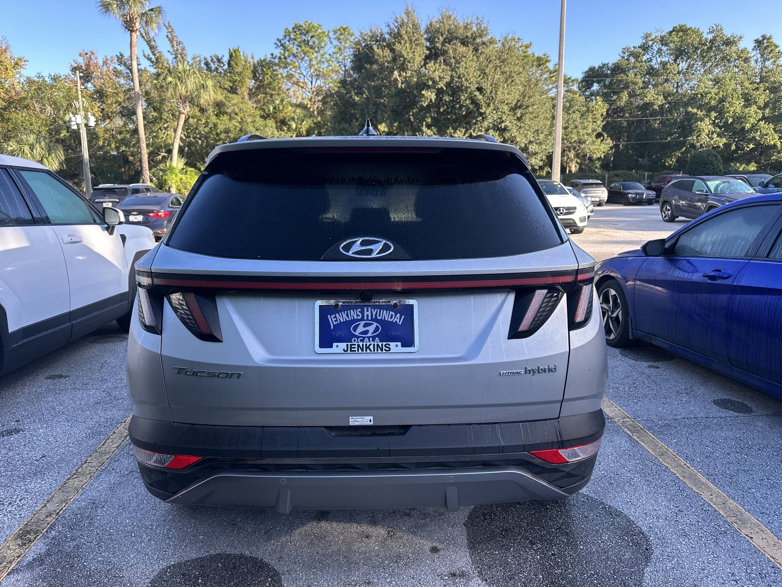 2024 Hyundai Tucson Hybrid Limited photo 3