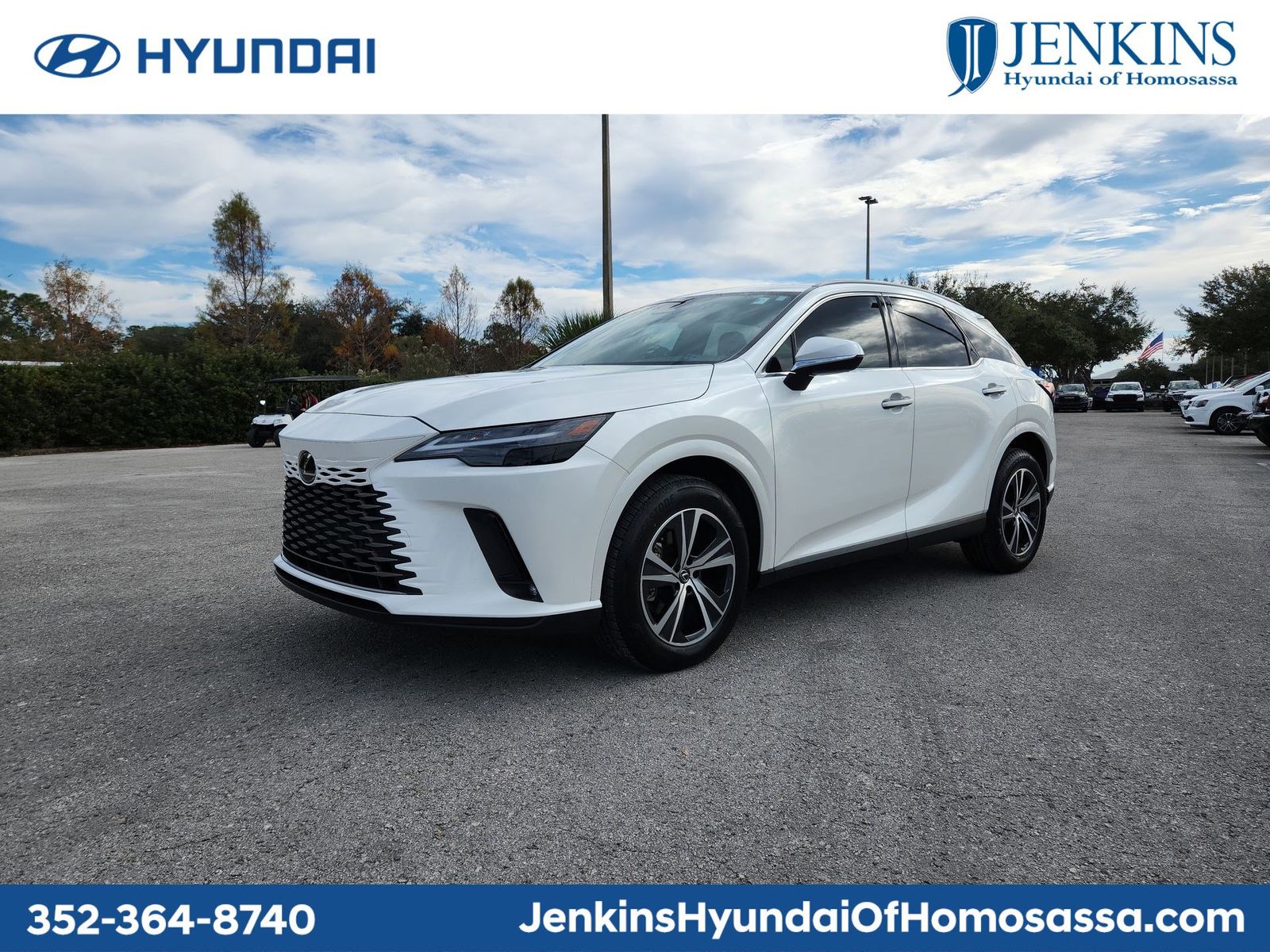 2023 Lexus RX 350's photo