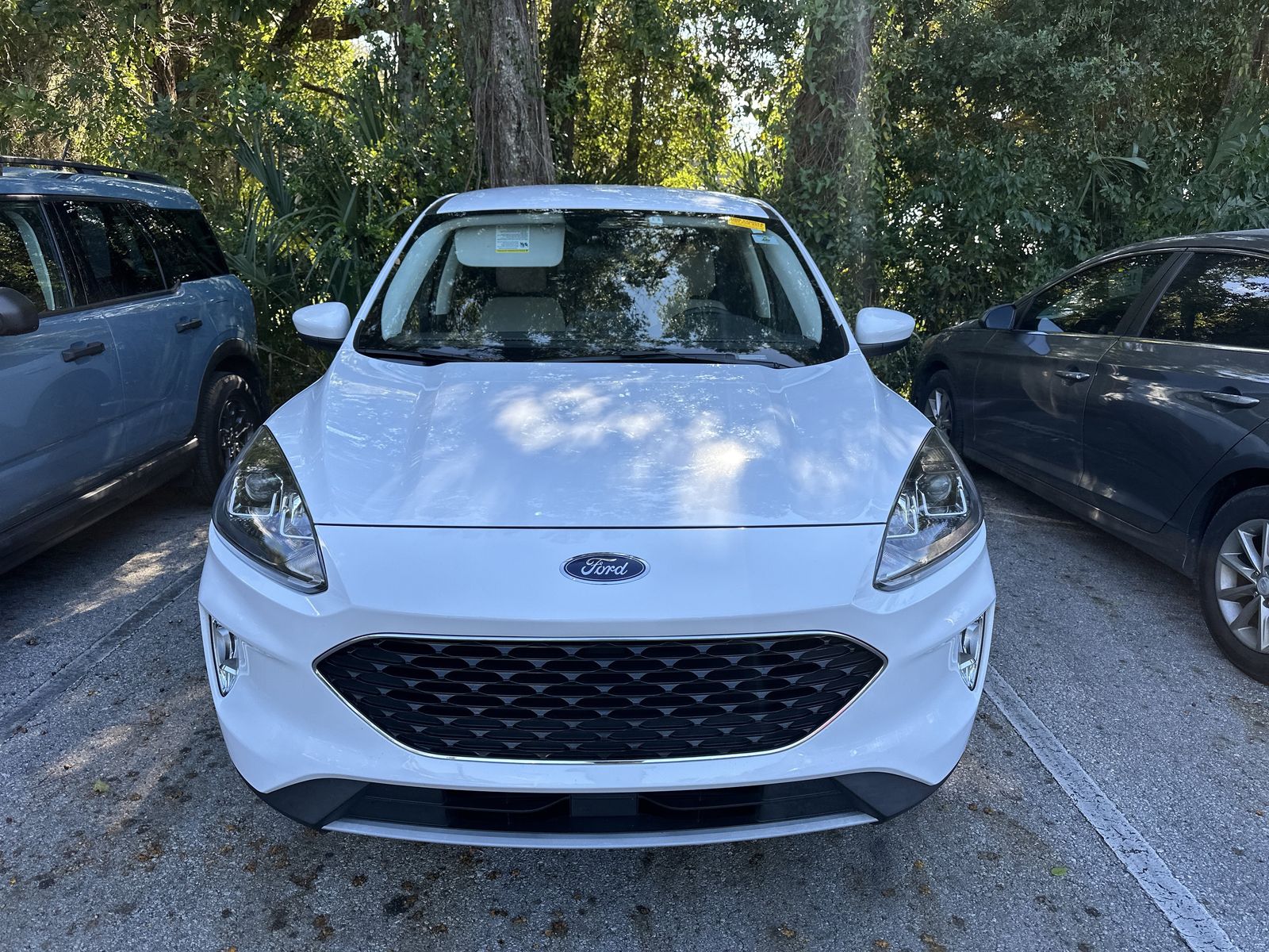 2022 Ford Escape SEL photo 2