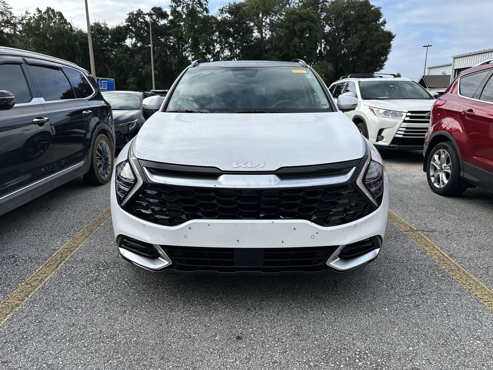 2023 Kia Sportage photo 2