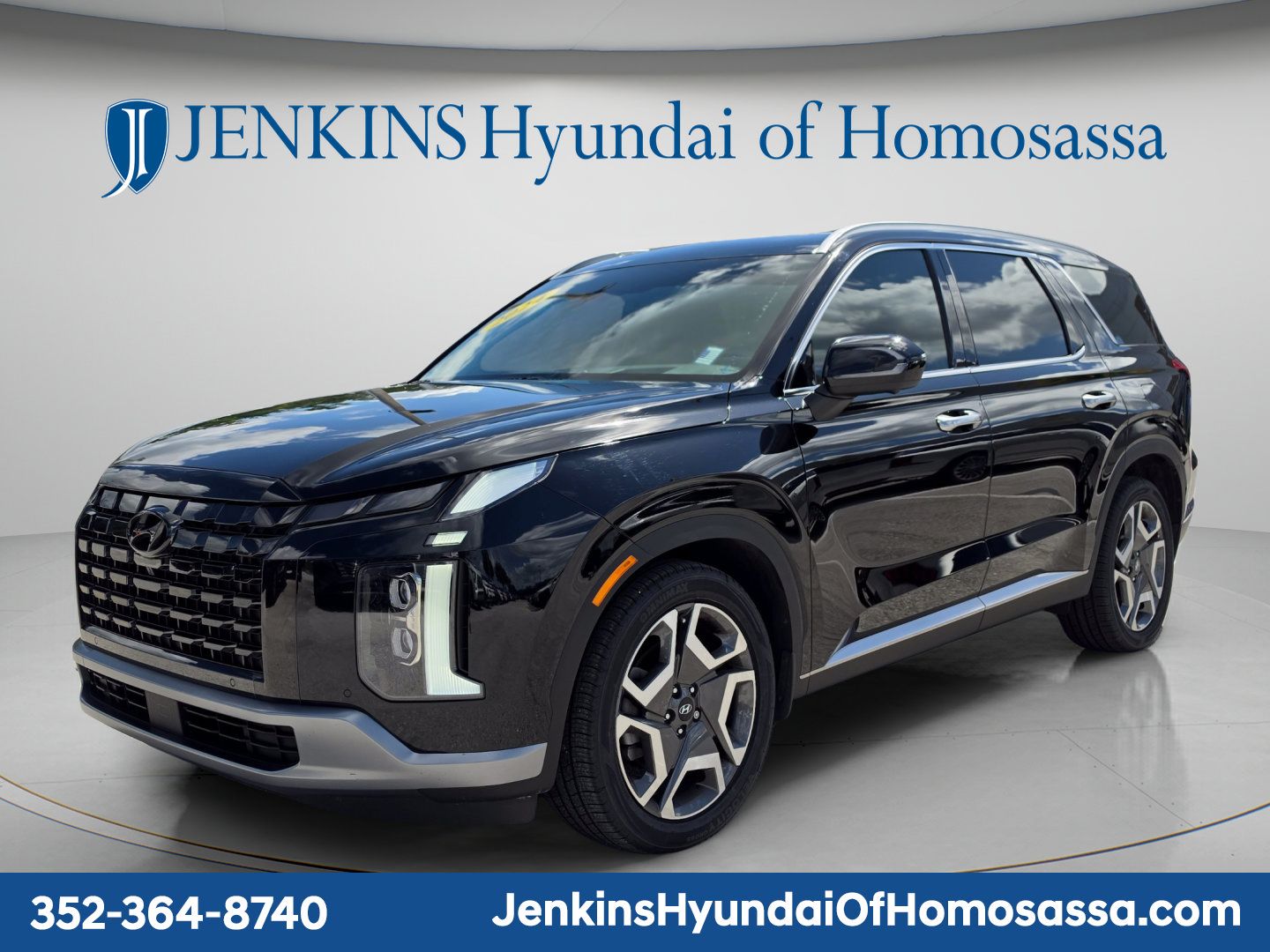 2024 Hyundai Palisade Limited - Photo 10
