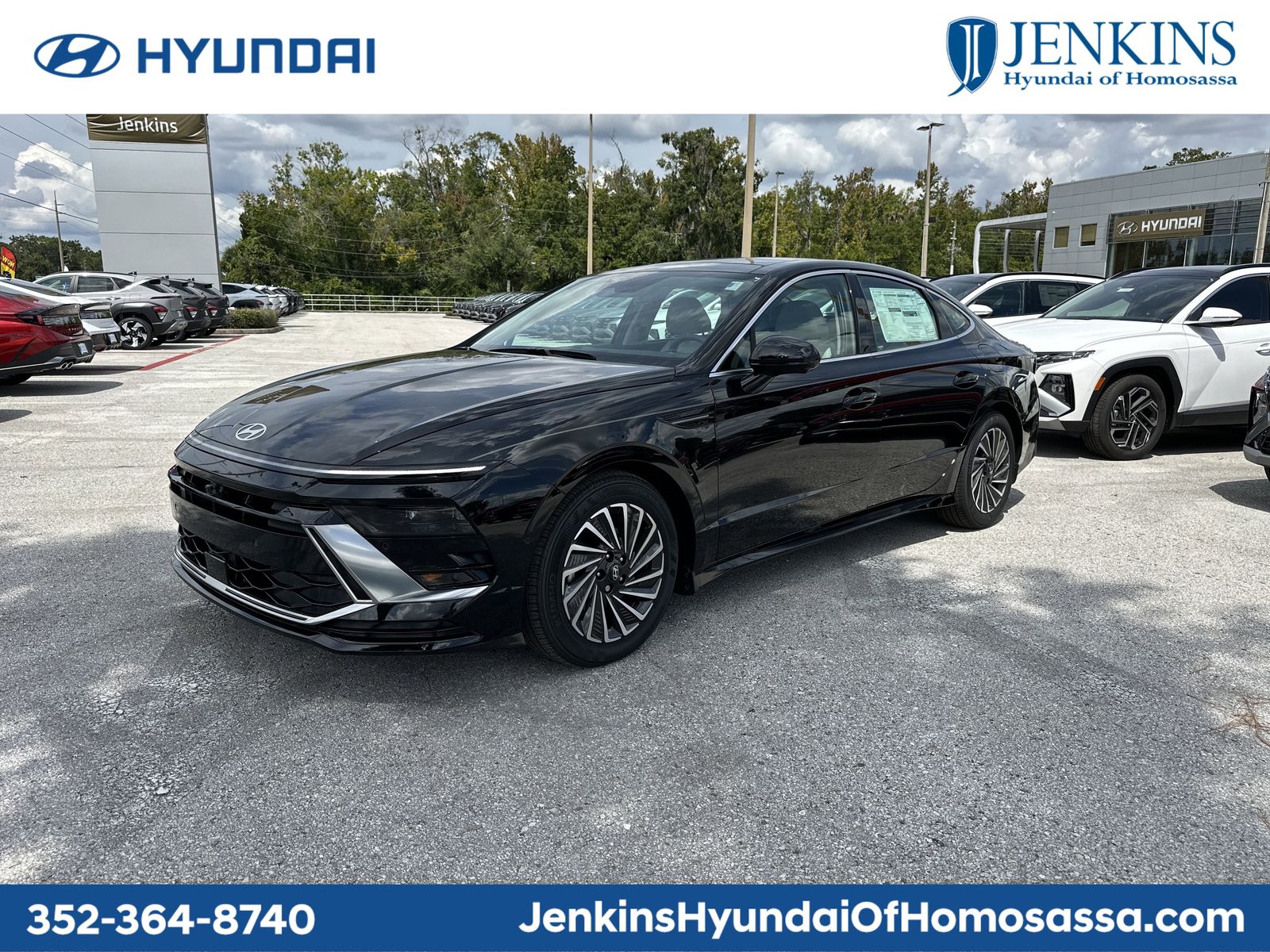 2025 Hyundai Sonata Hybrid Limited's photo