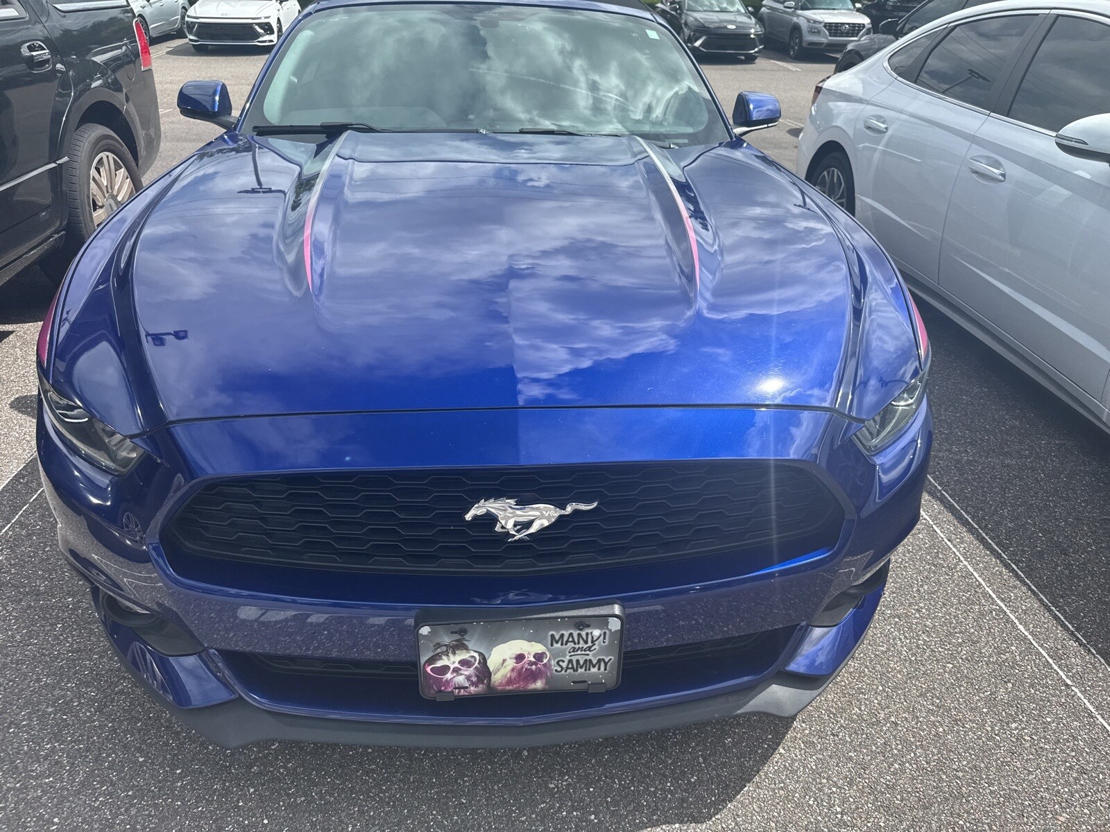 2016 Ford Mustang EcoBoost Premium Convertible photo 2