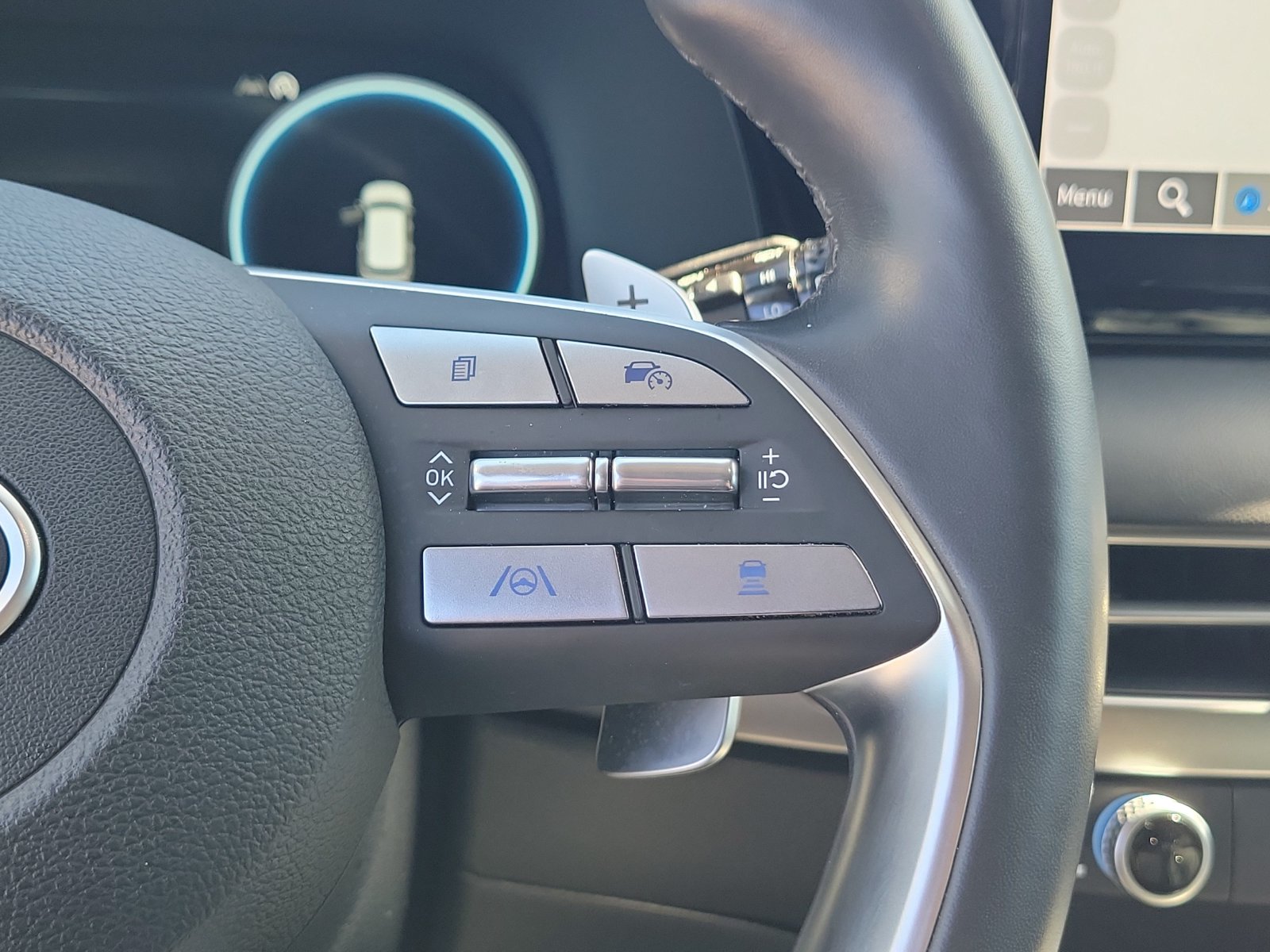 2025 Hyundai Palisade Limited - Photo 31
