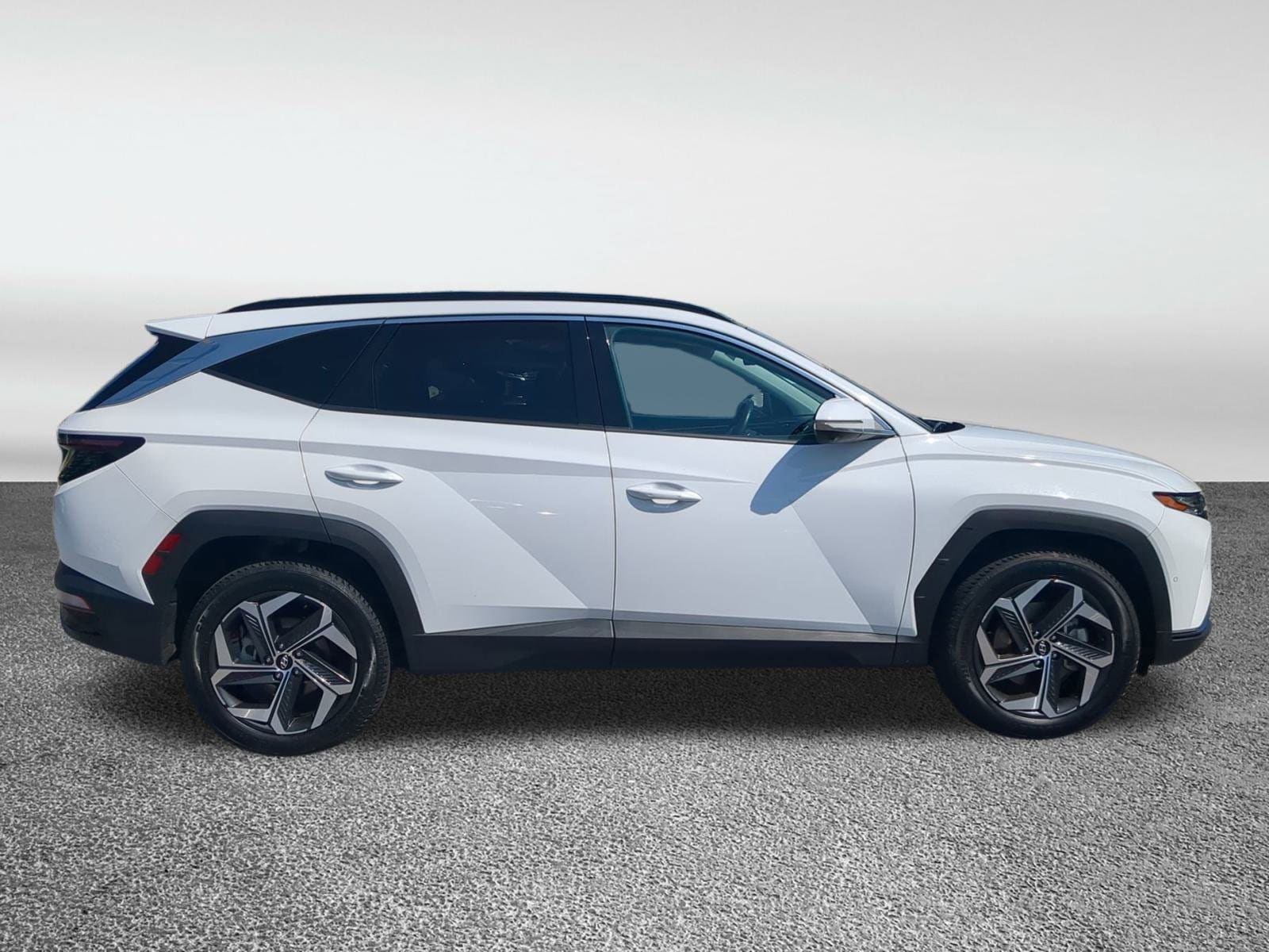 Used 2024 Hyundai Tucson Limited with VIN 5NMJECDE6RH308199 for sale in Jacksonville, FL