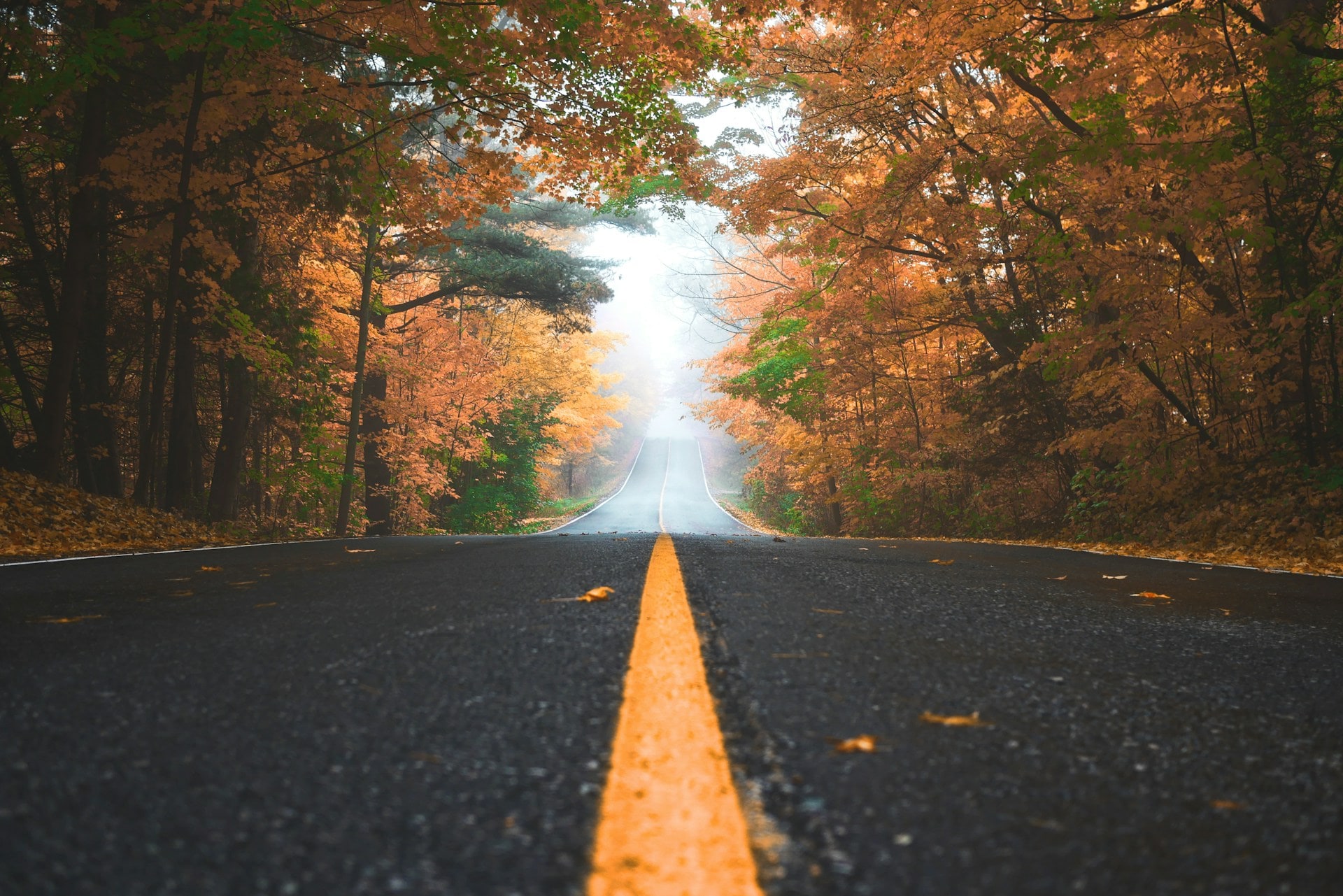 fall driving stock image by patrick tomasso