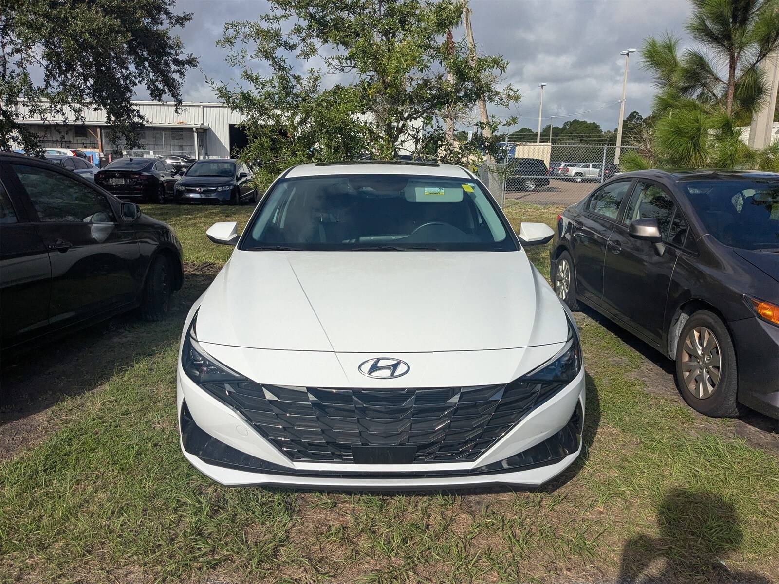 2023 Hyundai Elantra Hybrid Limited photo 2