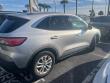 Used 2020 Ford Escape SE SUV