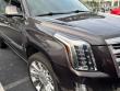Used 2018 Cadillac Escalade ESV Platinum Edition SUV