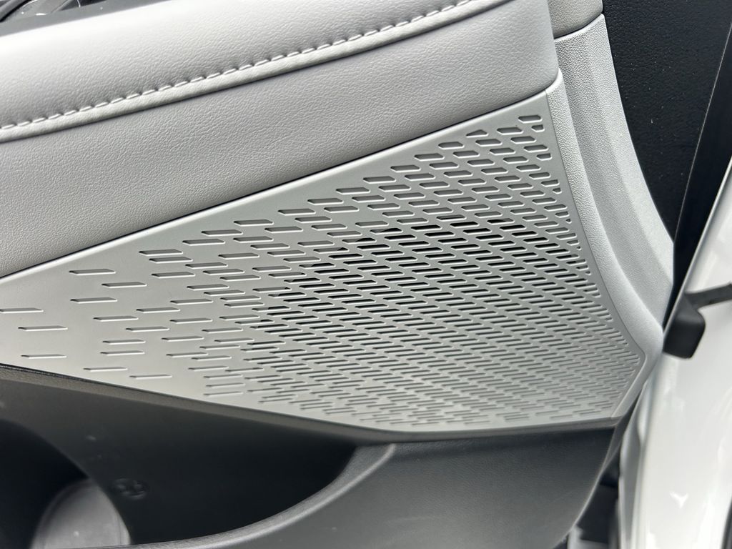 2025 Hyundai Palisade SEL Premium - Photo 24