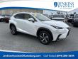 Used 2020 Lexus NX 300 Base SUV