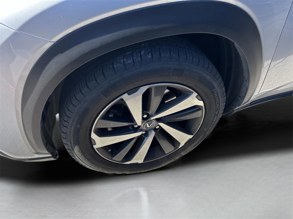 Used 2019 Lexus NX SUV