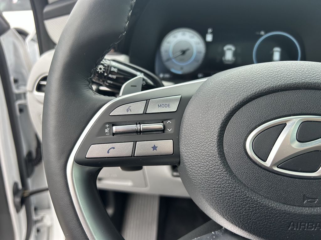 2025 Hyundai Palisade SEL Premium - Photo 33