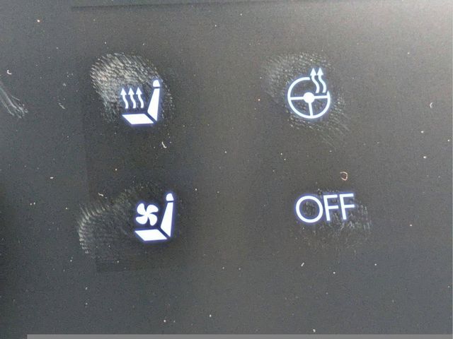 2025 Hyundai Santa Fe Calligraphy - Photo 22