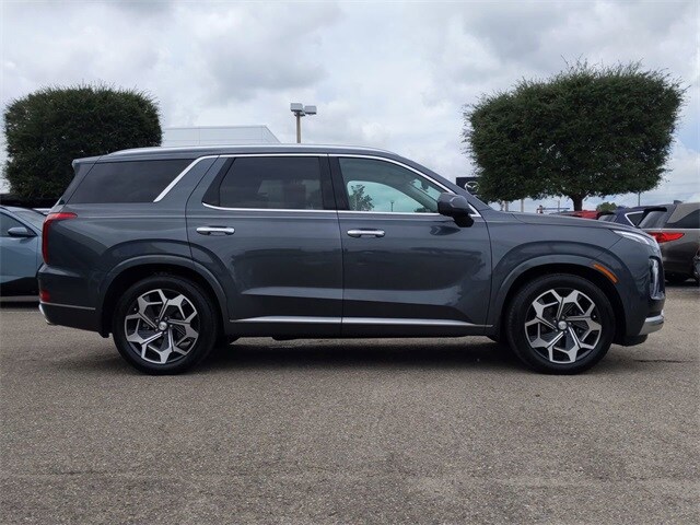2021 Hyundai Palisade Calligraphy photo 3