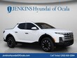  Hyundai Santa Cruz
