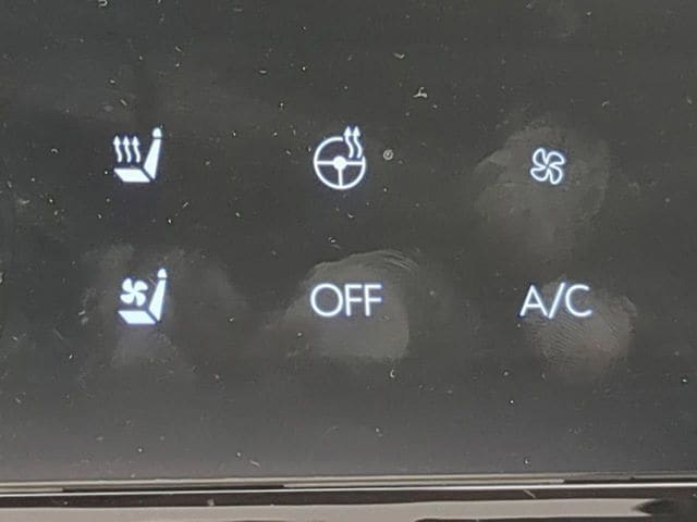 2025 Hyundai Santa Fe Calligraphy - Photo 27
