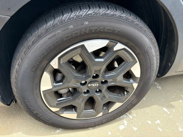 Photo 5