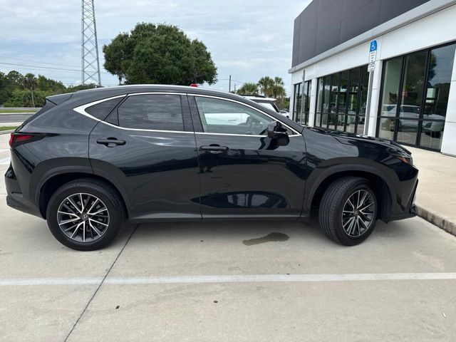 2025 Lexus NX 350 - Photo 7