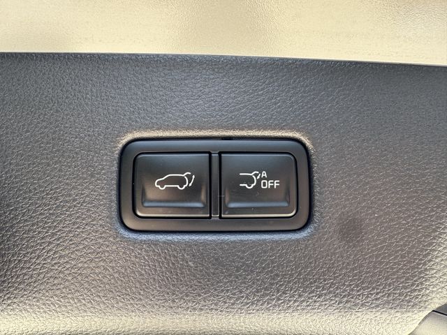 2025 Kia Carnival EX - Photo 16