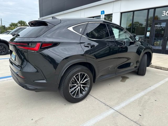 2025 Lexus NX 350 - Photo 6