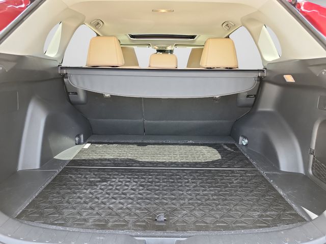 2019 Toyota RAV4 Limited - Photo 13