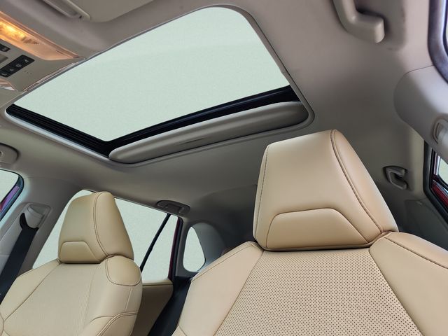 2019 Toyota RAV4 Limited - Photo 29