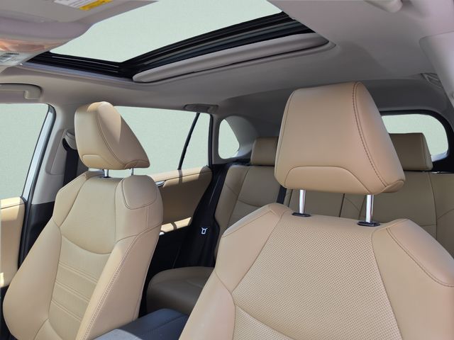 2019 Toyota RAV4 Limited - Photo 32