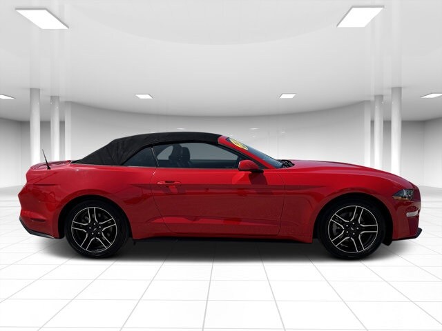 2023 Ford Mustang EcoBoost Premium Convertible photo 2