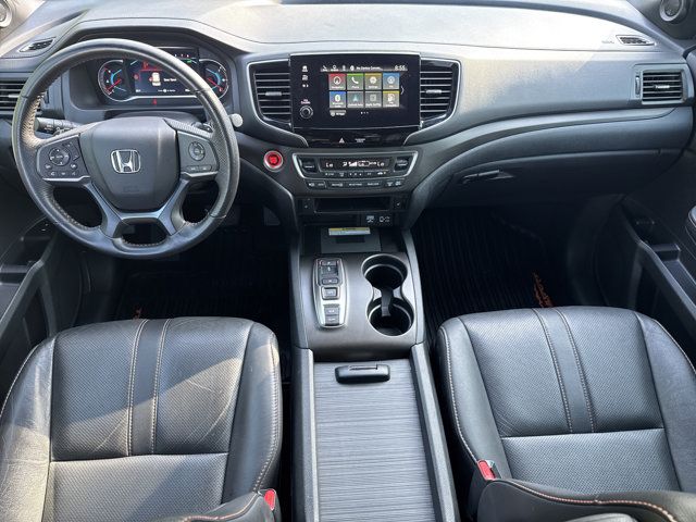Photo 17