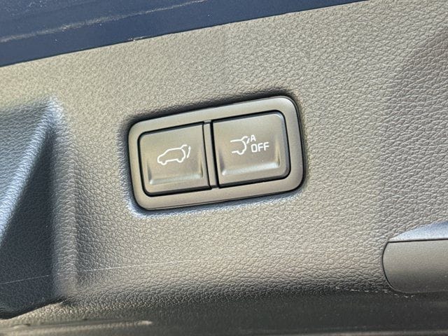 2025 Kia Telluride EX - Photo 10