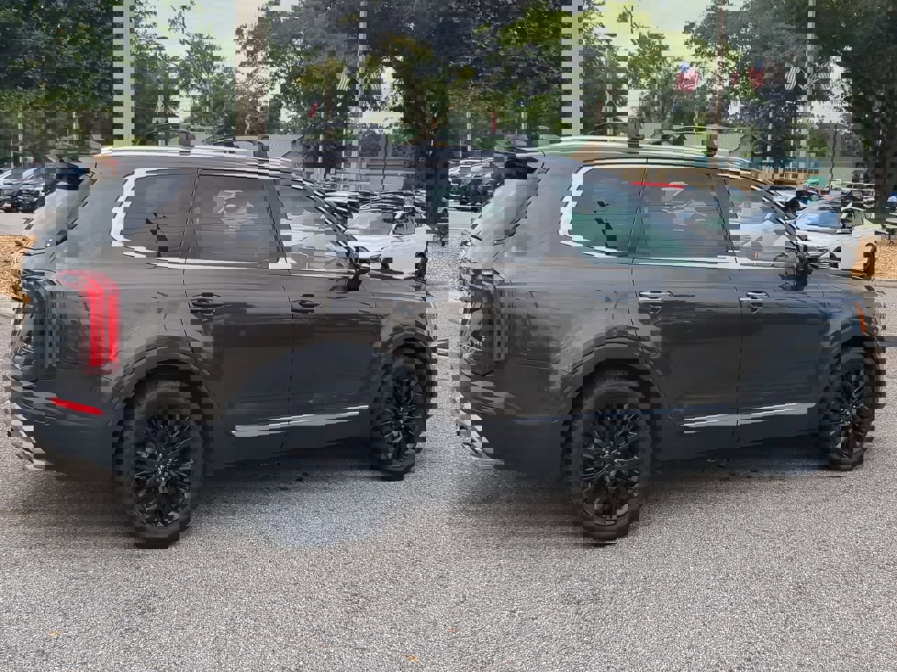 2021 Kia Telluride SX photo 2