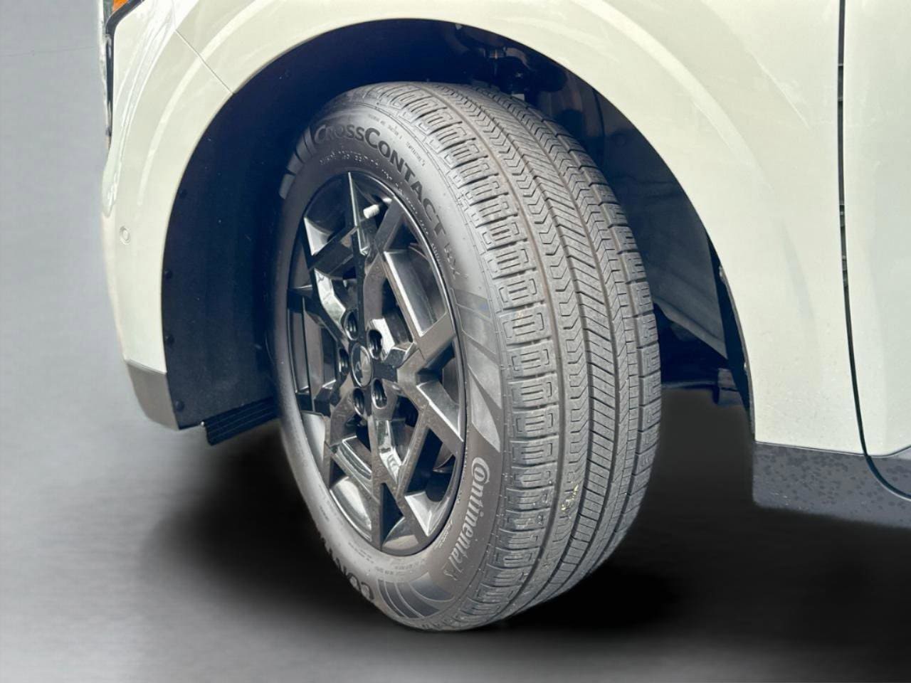 2025 Kia Carnival SX Prestige - Photo 42