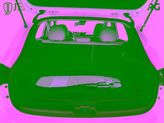 2021 Nissan Rogue Sport SL - Photo 17