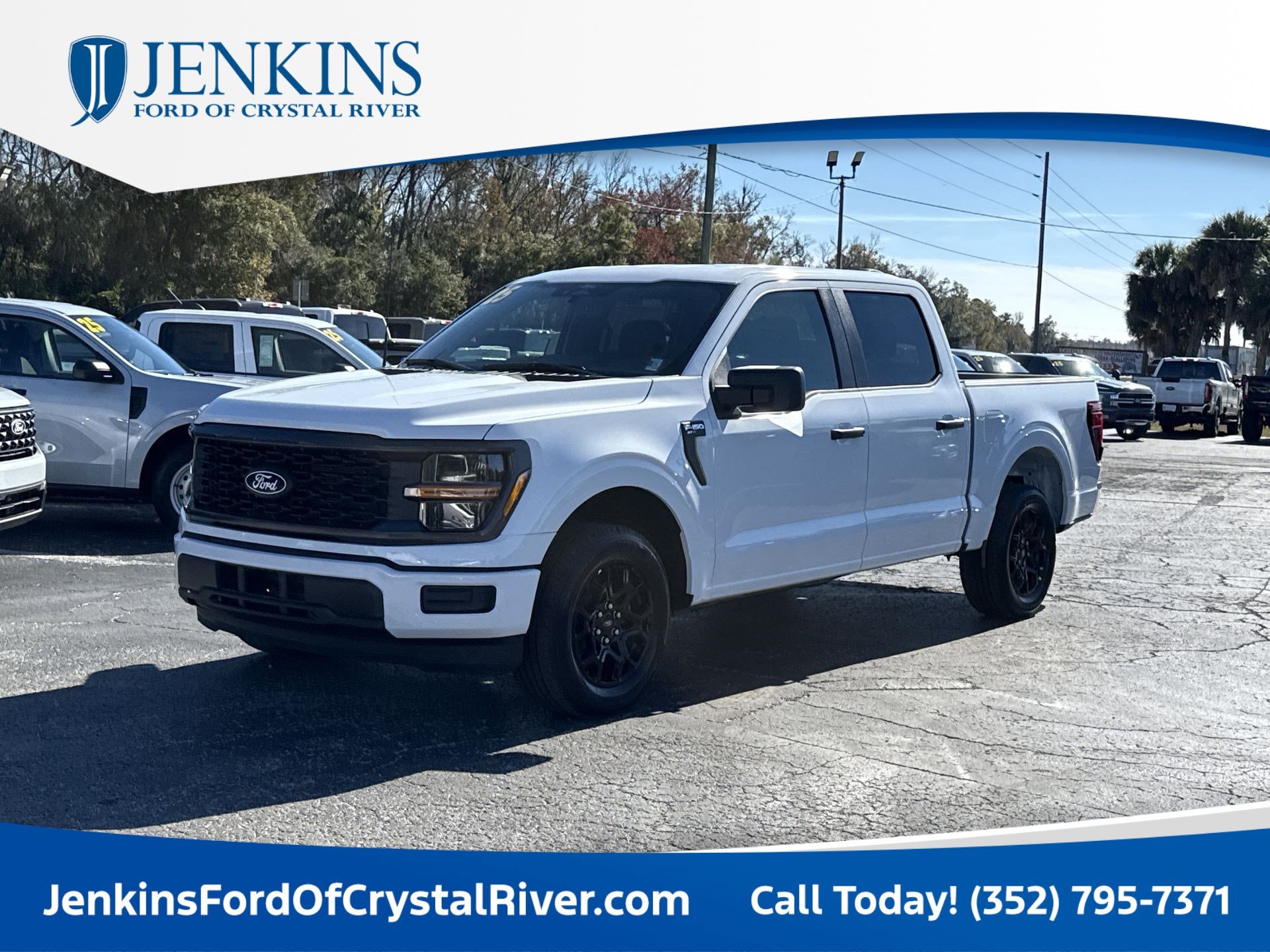 2025 Ford F-150 STX's photo