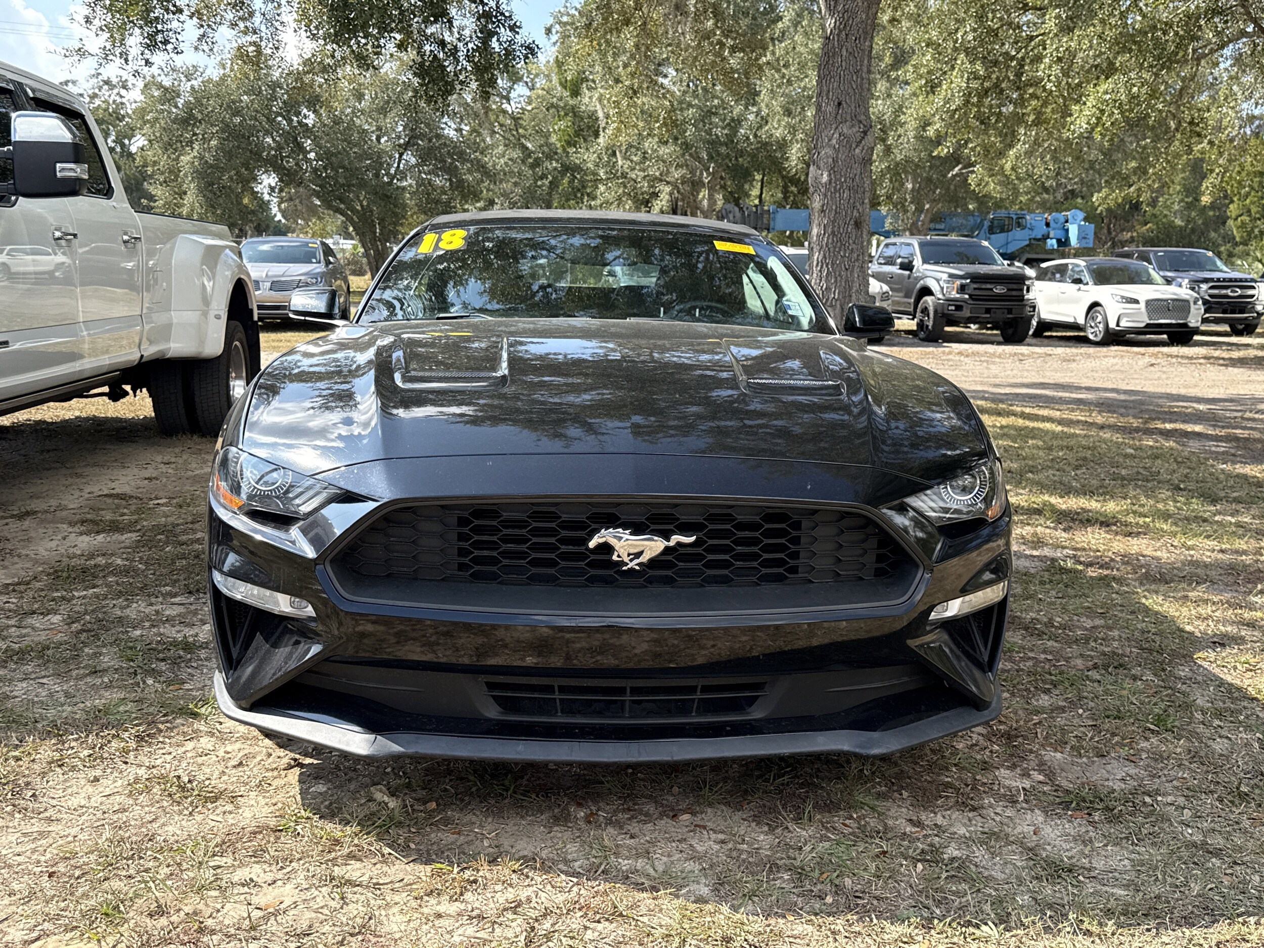 2018 Ford Mustang EcoBoost Premium Convertible photo 3