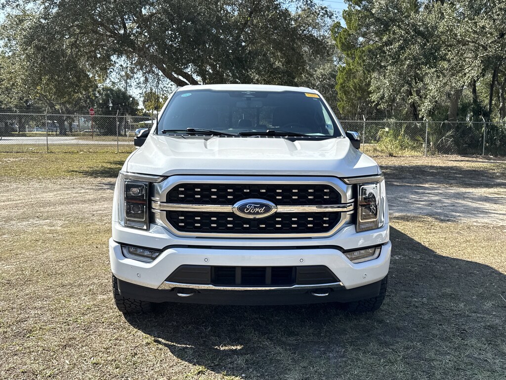 New 2025 Ford F-150 Platinum TRUCK