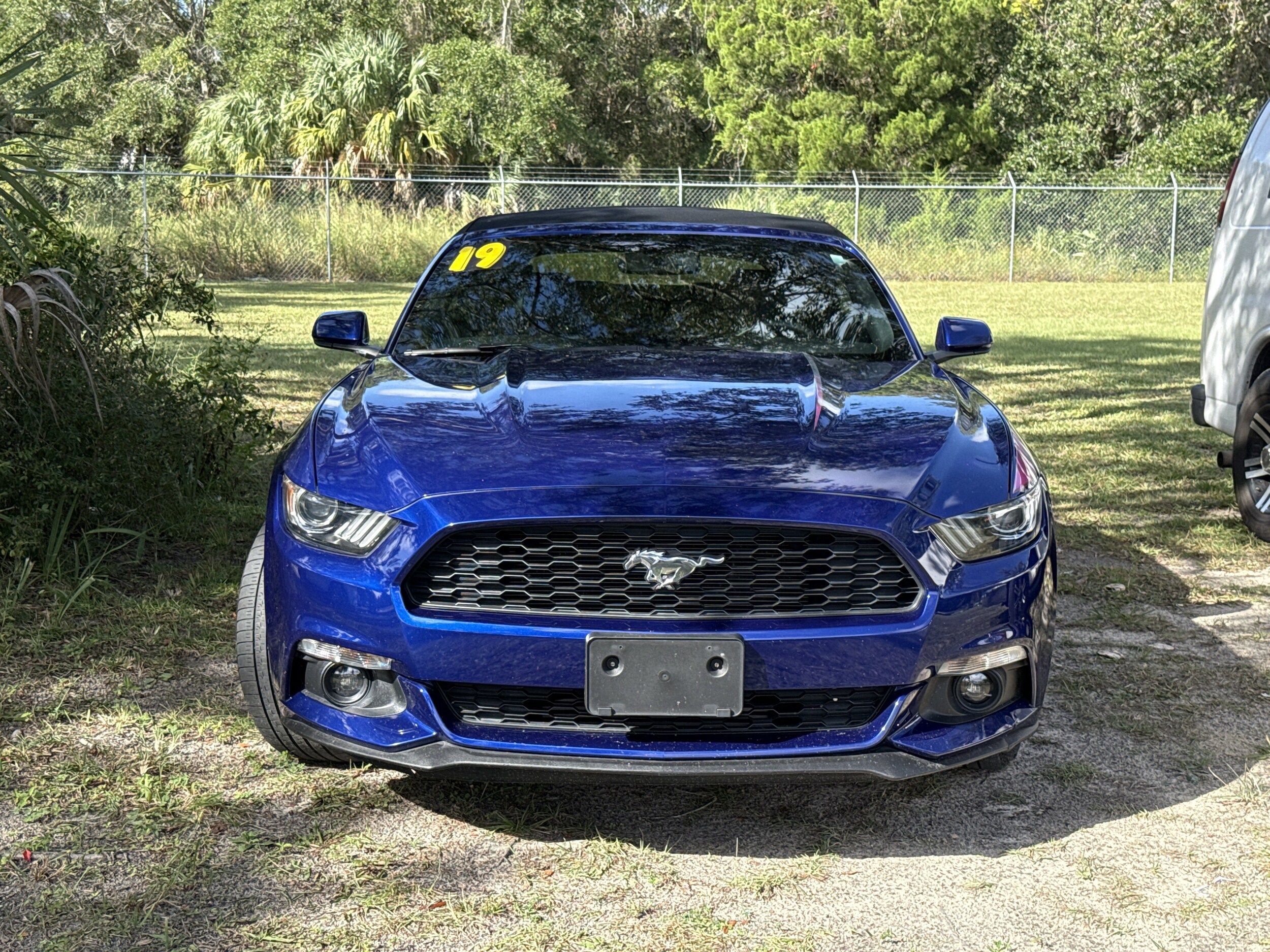 2016 Ford Mustang EcoBoost Premium Convertible photo 3
