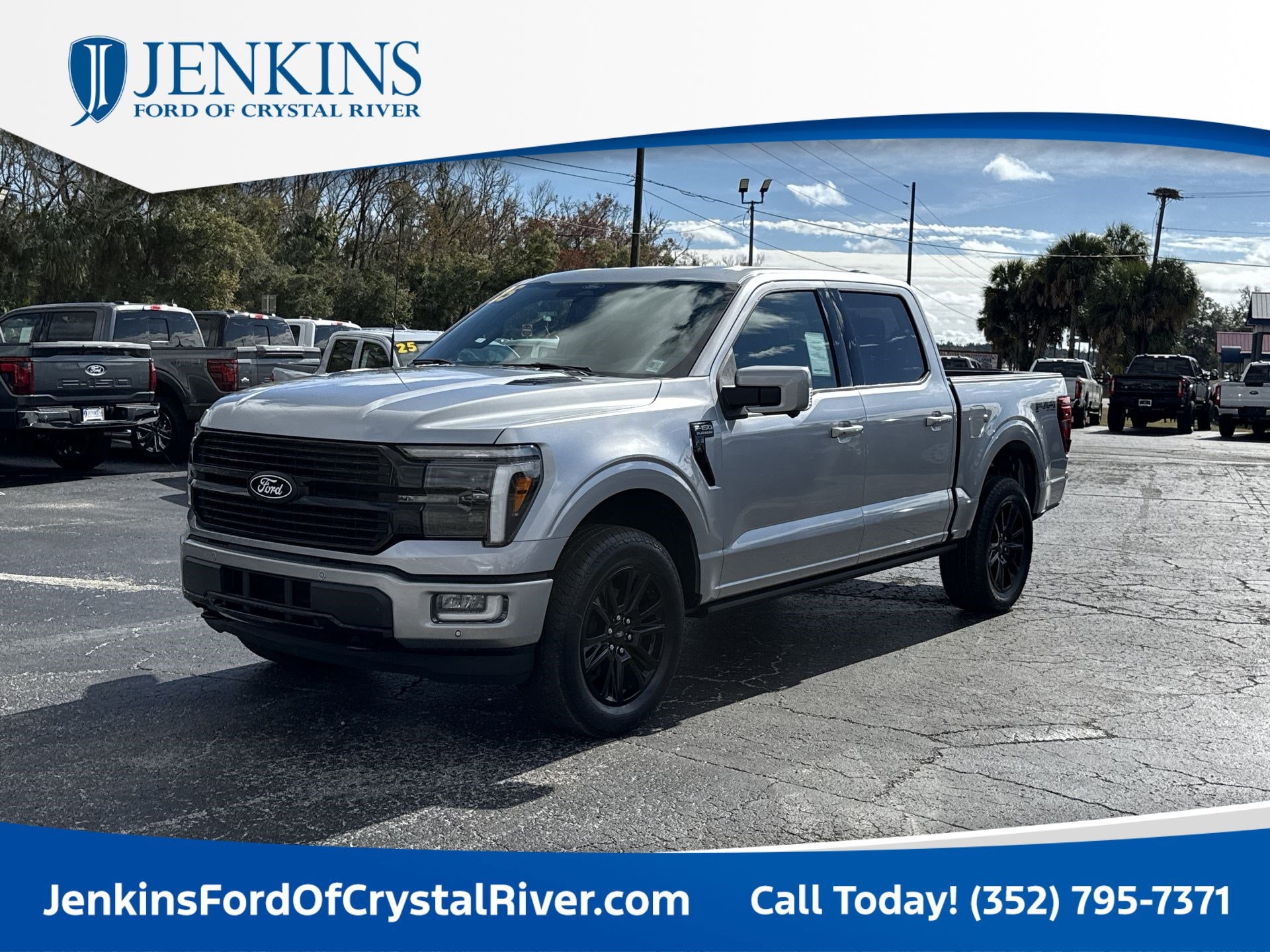 2025 Ford F-150 Platinum's photo