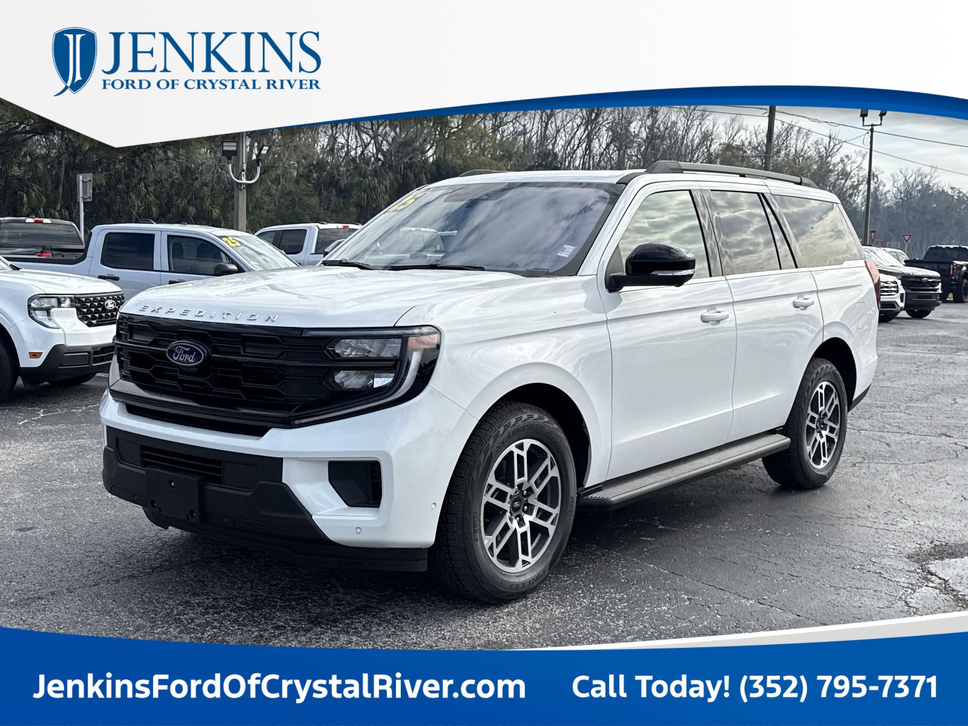 2025 Ford Expedition Active's photo