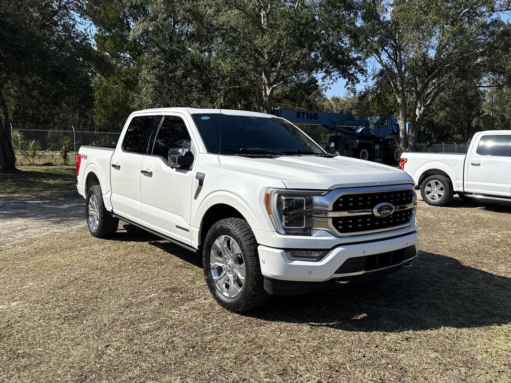 New 2025 Ford F-150 Platinum TRUCK