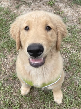 Staff member Buck from ID_cf0f148747f9