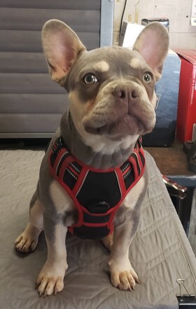 Staff member Ziggy from ID_cf0f148747f9
