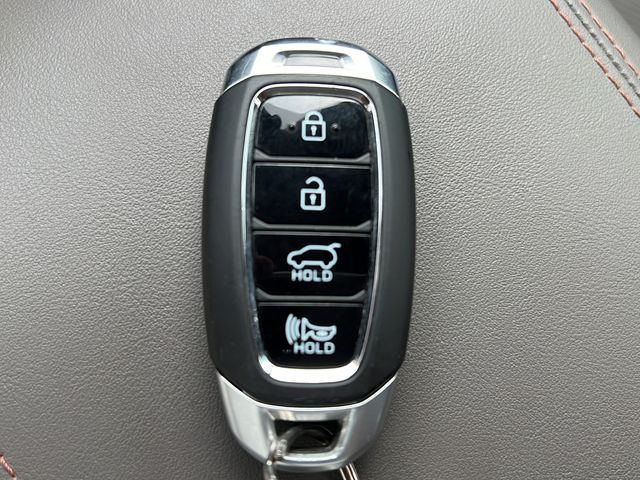 2019 Hyundai Santa Fe Ultimate - Photo 28