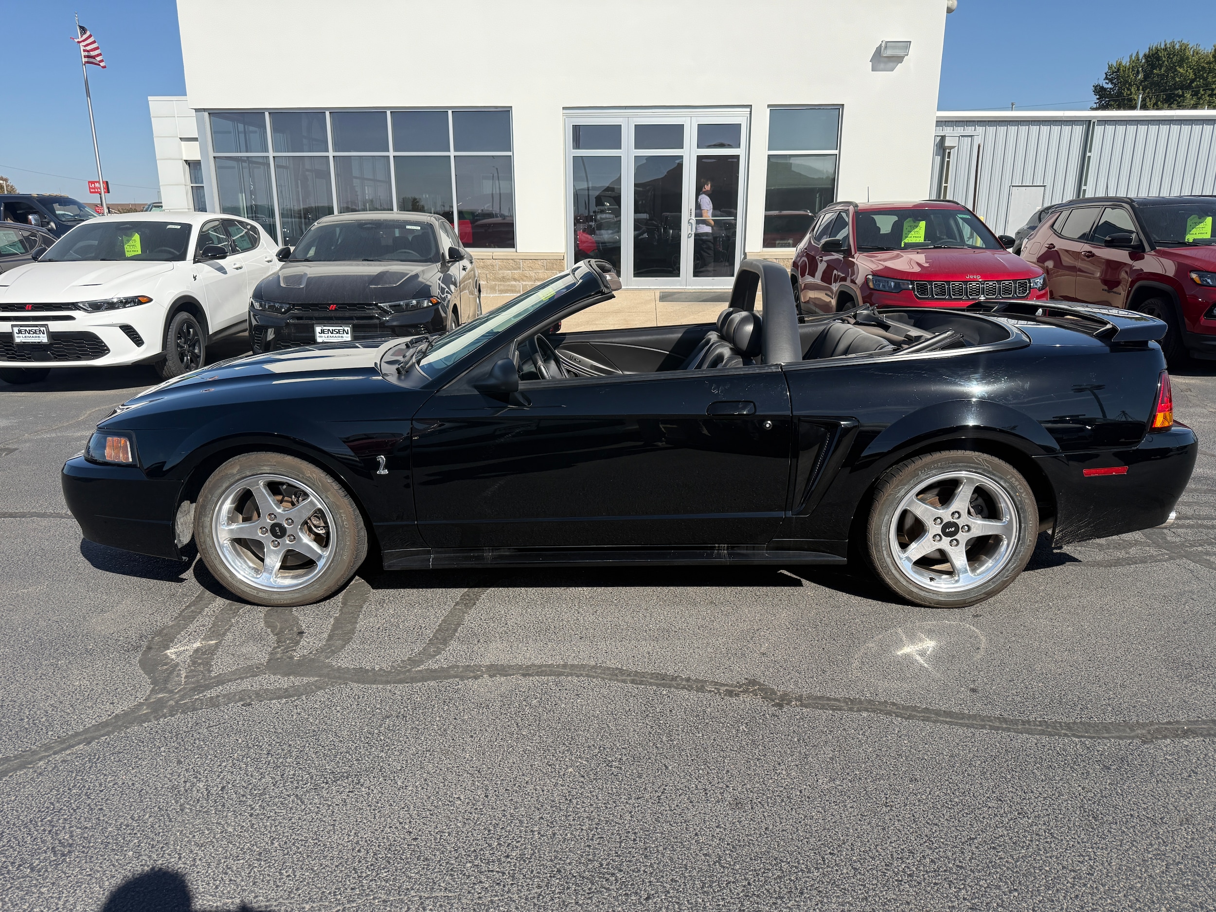 Used 2001 Ford Mustang Cobra SVT with VIN 1FAFP46V41F229110 for sale in Le Mars, IA