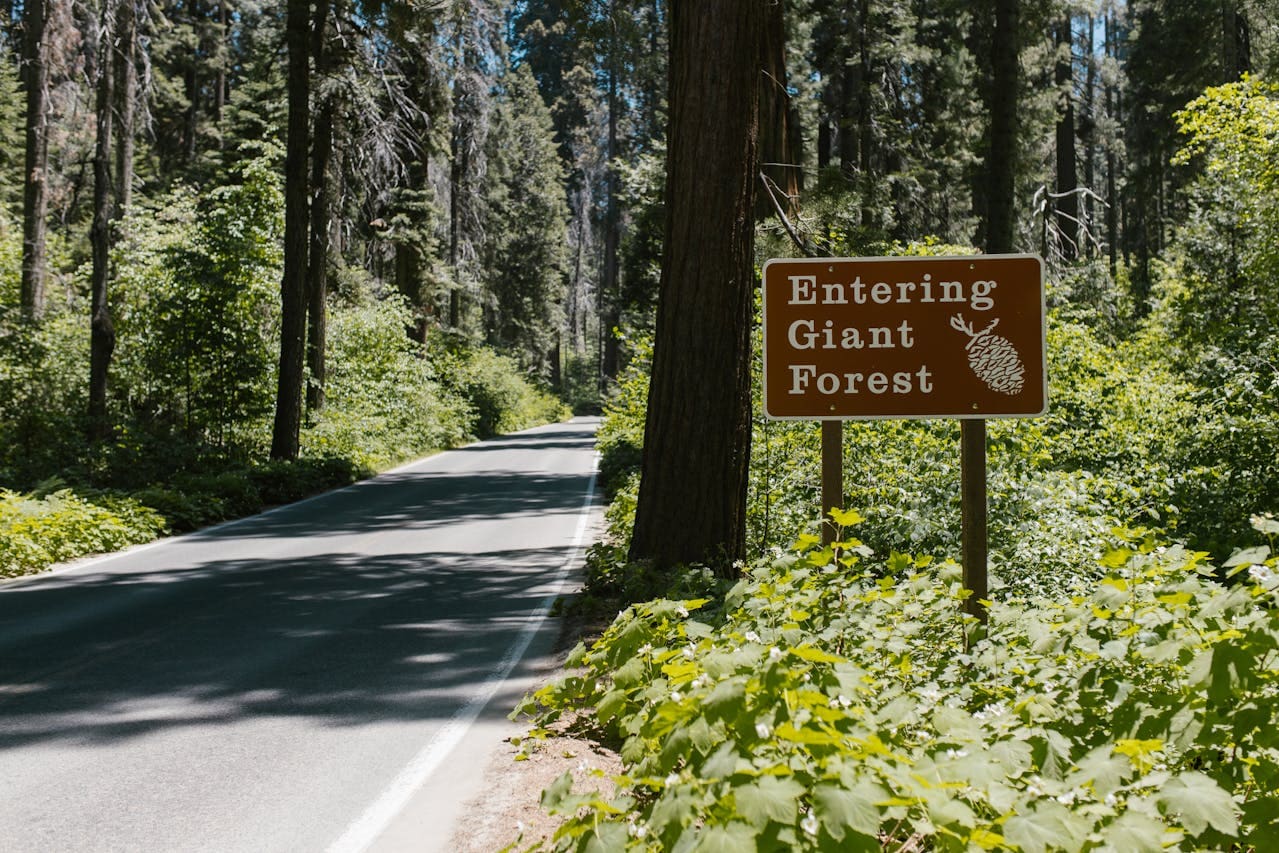 sequioa national park entrance sign