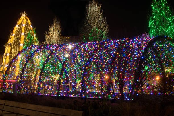 christmas light display