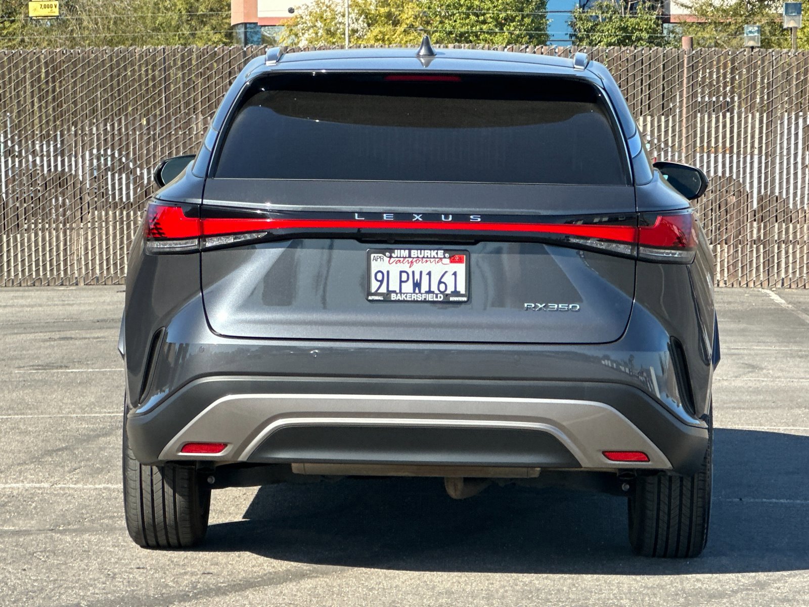 2024 Lexus RX 350 Premium photo 3