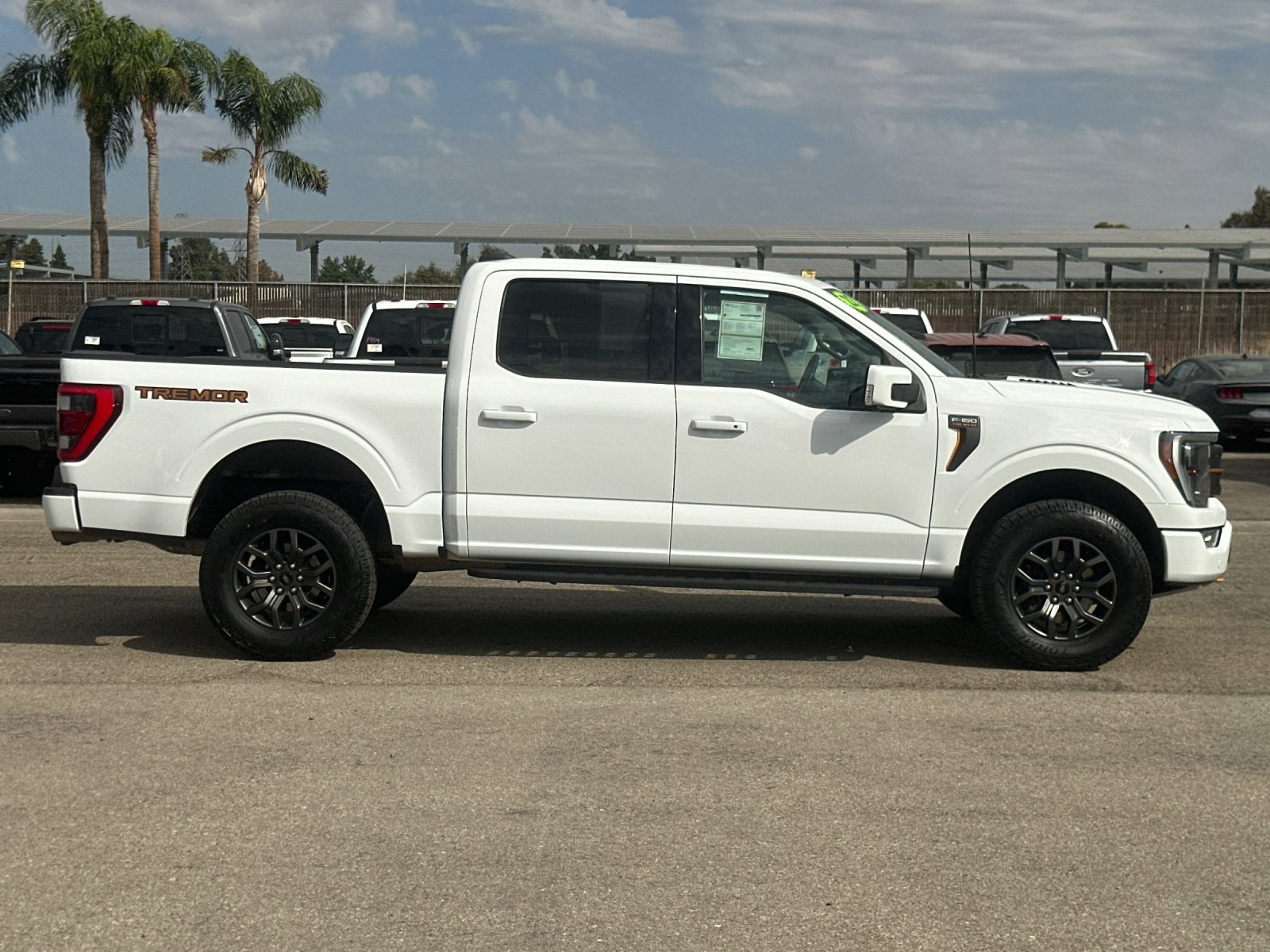 2022 Ford F-150 Tremor photo 2